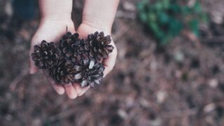 遅くなりましたが第二回を更新しました！