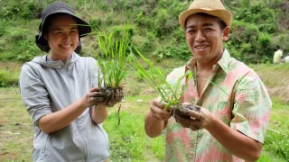 グリジャ田んぼ部〜自然農　田植え編〜