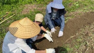 グリジャ畑部～ブロッコリー、人参、ジャガイモの種下ろし～