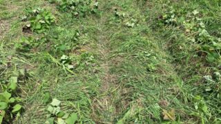 リスナーの方からのお便り