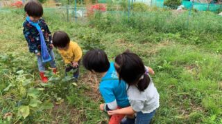 はたけキッズ　Farm Kids (20/10/04)