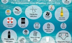 第３回サステナ社会作り部ミーティング